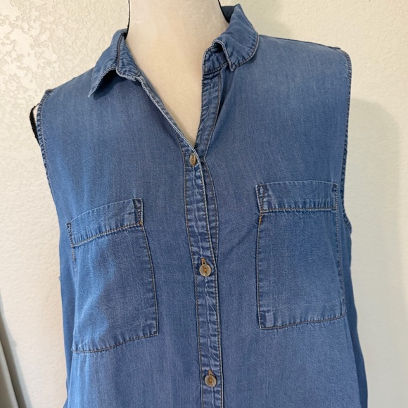 Appraisal Sleeveless Button-Front Denim Shirt Dress - Blue - Picture 3 of 13